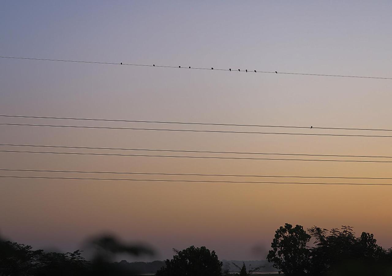 Birdsong Leisure Resort ทิซซามาฮารามา ภายนอก รูปภาพ